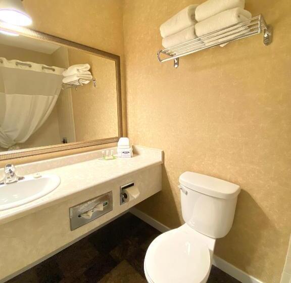 غرفة قياسية سرير كينج, The George Dawson Inn & Conference Centre