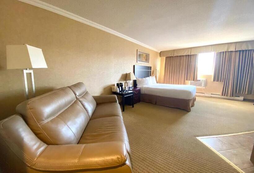 غرفة قياسية مزوَّدة بجاكوزي, The George Dawson Inn & Conference Centre