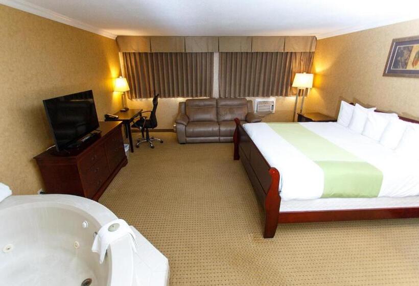 غرفة قياسية مزوَّدة بجاكوزي, The George Dawson Inn & Conference Centre