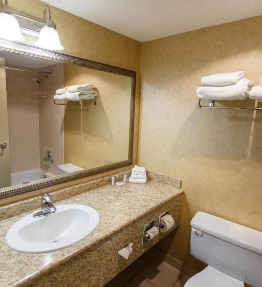 غرفة سوبيريور, The George Dawson Inn & Conference Centre