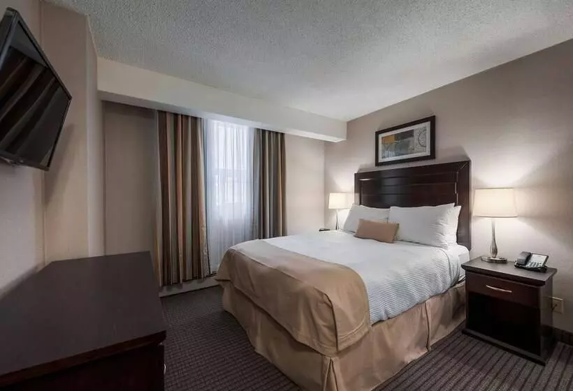 スイート, Coast Calgary Downtown Hotel & Suites By Apa