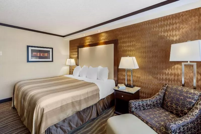 اتاق استاندارد با تخت بزرگ, Best Western Plus Edmonton Airport