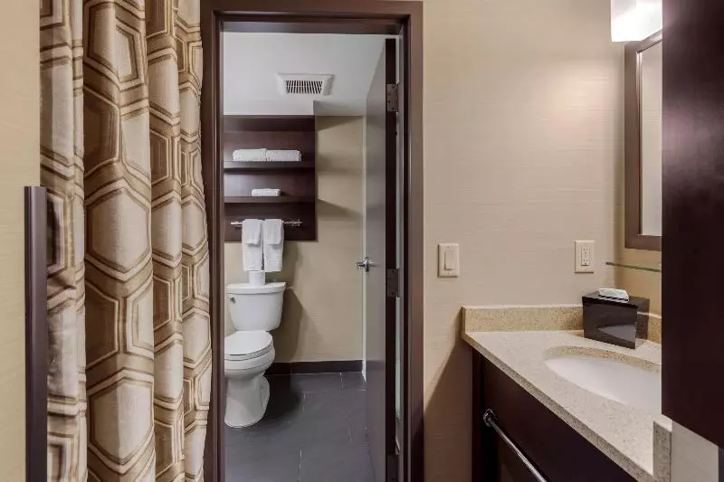 اتاق استاندارد با تخت بزرگ, Best Western Plus Edmonton Airport