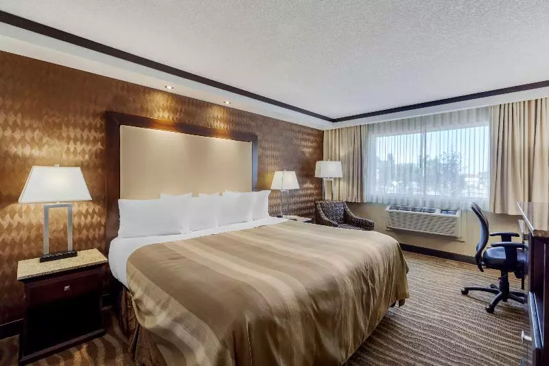 اتاق استاندارد با تخت بزرگ, Best Western Plus Edmonton Airport