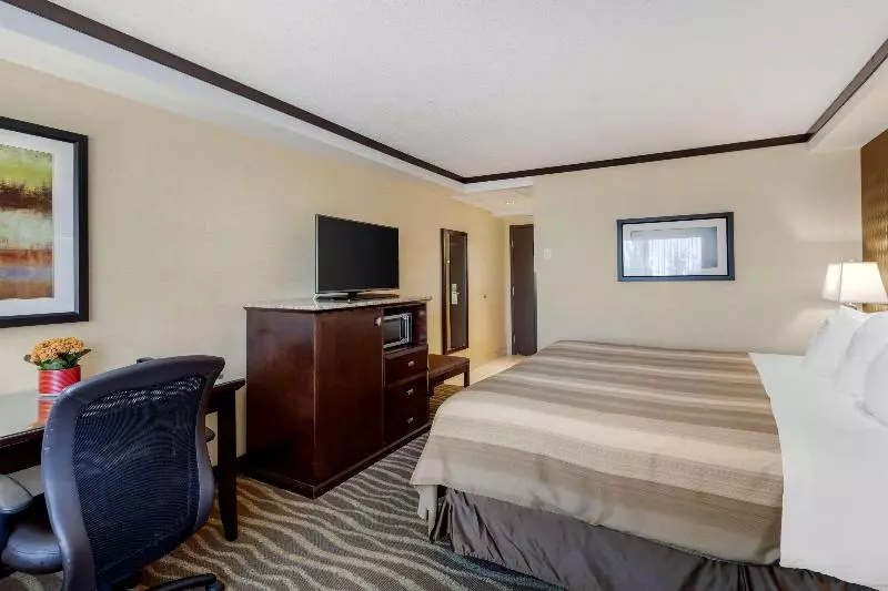 اتاق استاندارد با تخت بزرگ, Best Western Plus Edmonton Airport