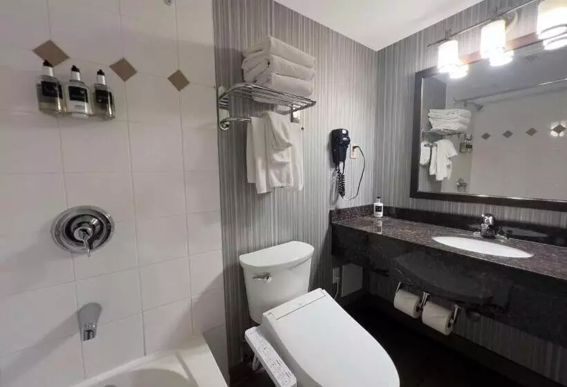 キングサイズベッドのスイートルーム, Coast Calgary Downtown Hotel & Suites By Apa