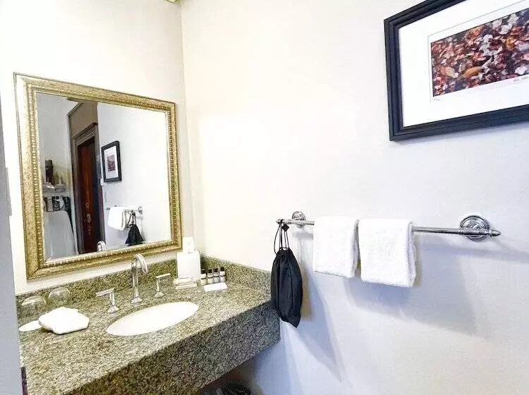 اتاق اکونومی یک تخته, Manoir D Auteuil
