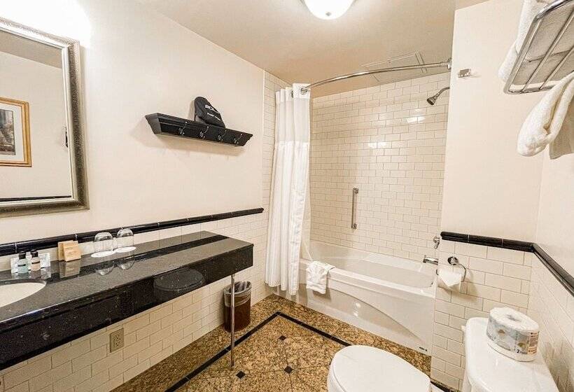 Президентский Люкс, Manoir D Auteuil