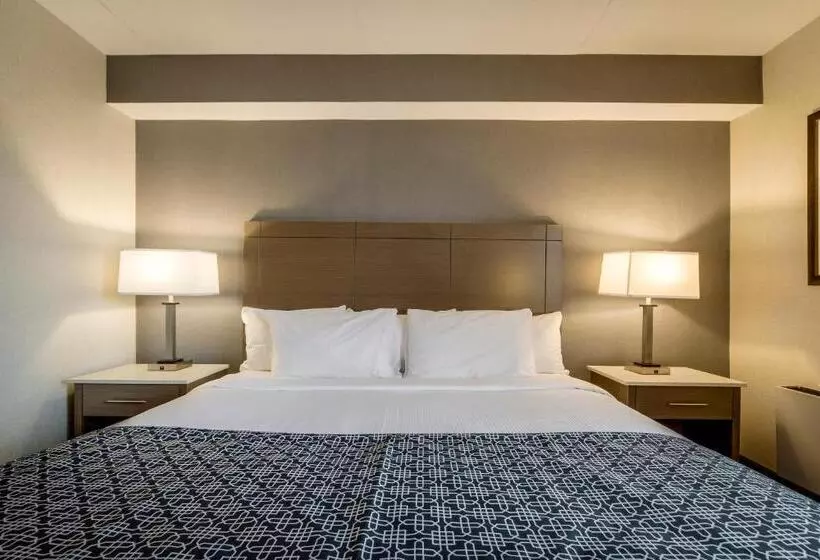 اتاق استاندارد با تخت دوبل, Monte Carlo Inn Airport Suites