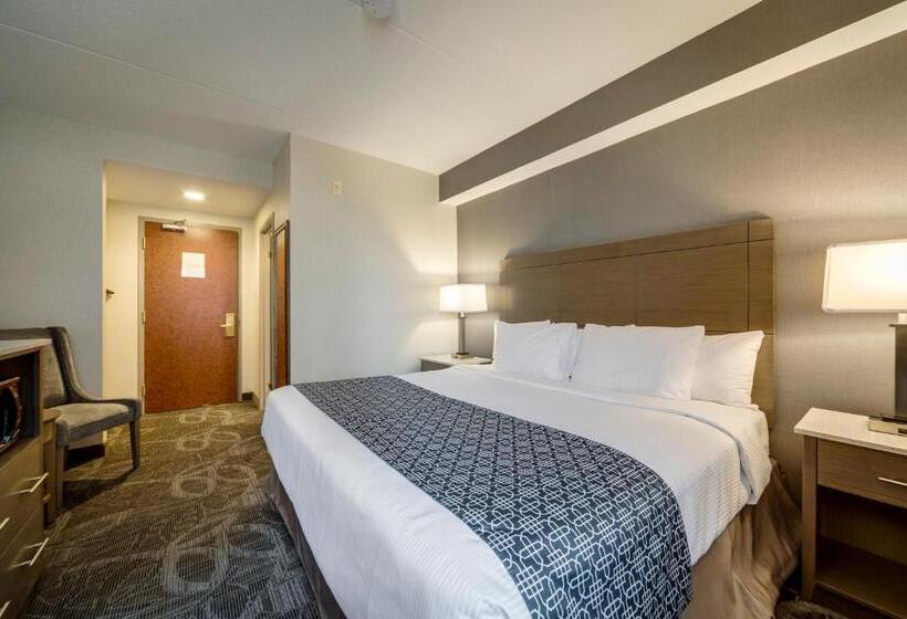 اتاق استاندارد با تخت دوبل, Monte Carlo Inn Airport Suites