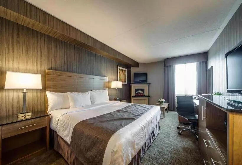 اتاق استاندارد با تخت دوبل, Monte Carlo Inn Airport Suites