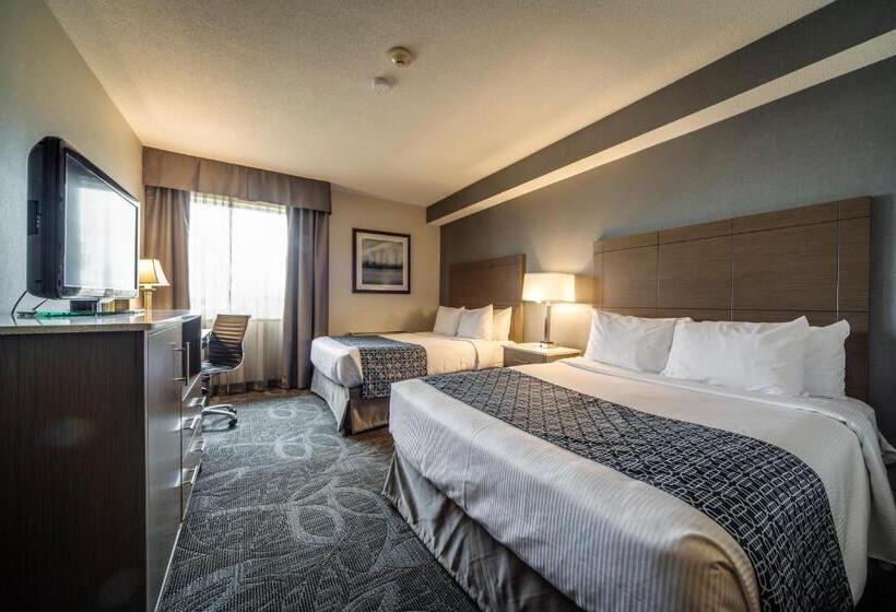 اتاق استاندارد, Monte Carlo Inn Airport Suites