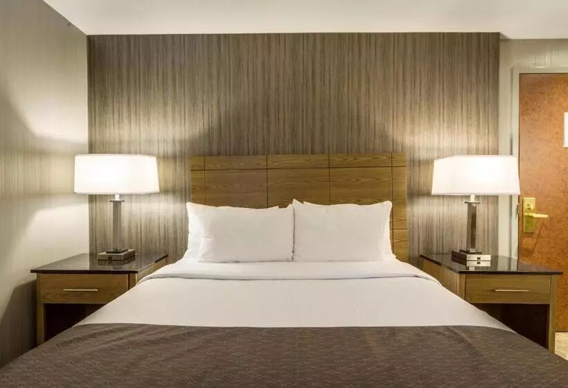سوئیت با وان آب گرم, Monte Carlo Inn Airport Suites