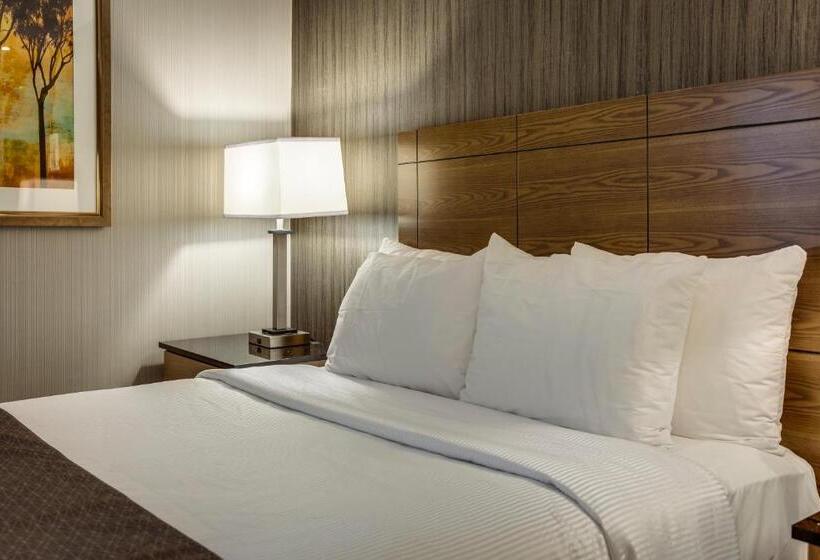 سوئیت با وان آب گرم, Monte Carlo Inn Airport Suites