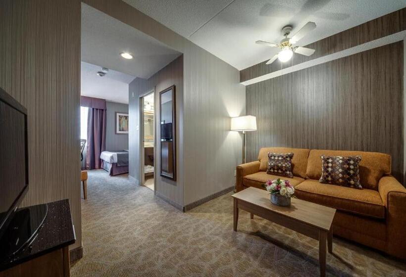 套房, Monte Carlo Inn Airport Suites