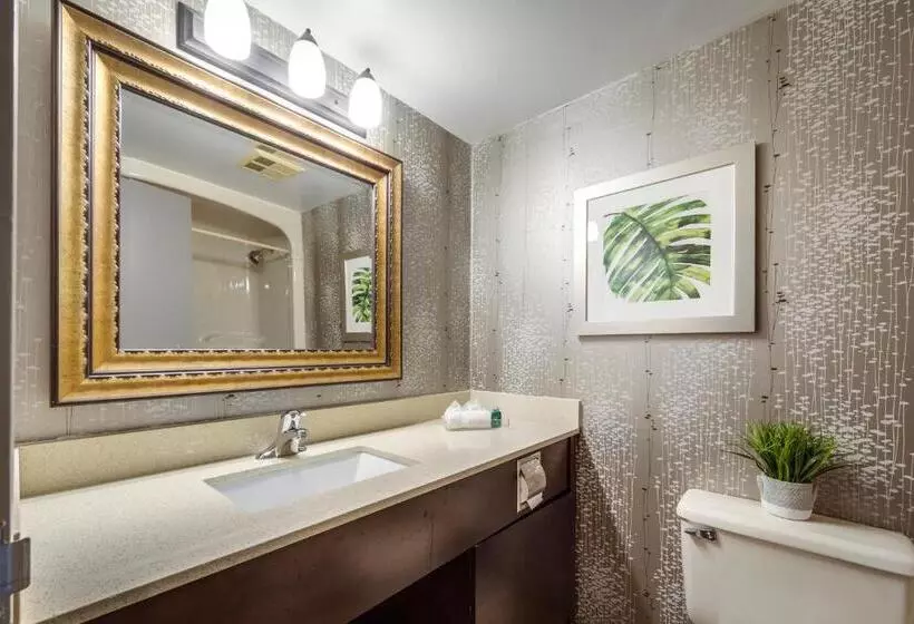 سوییت, Monte Carlo Inn Airport Suites