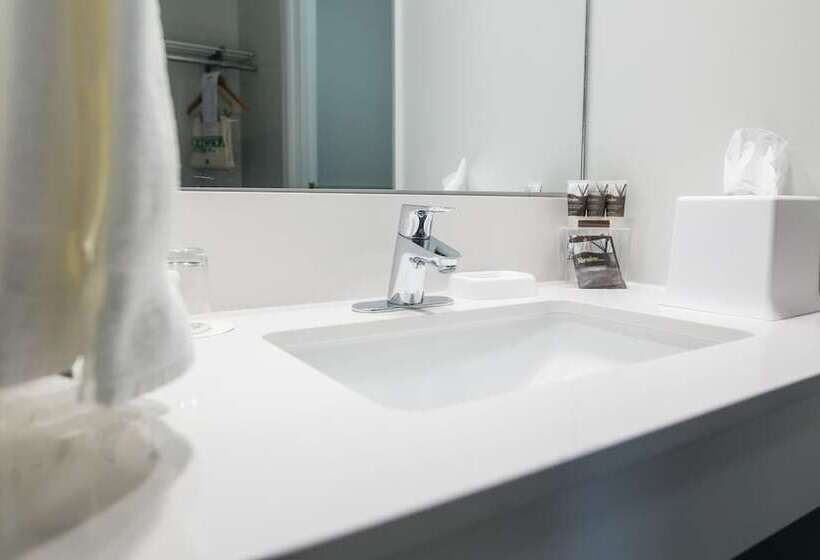 エクゼクティブルーム, Norwood