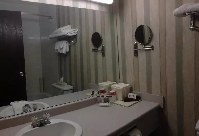 اتاق استاندارد با تخت بزرگ, Ramada By Wyndham Saskatoon