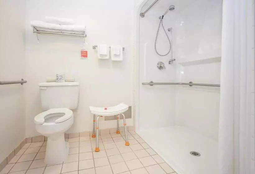 اتاق استاندارد برای معلولان, Ramada By Wyndham Surrey/langley