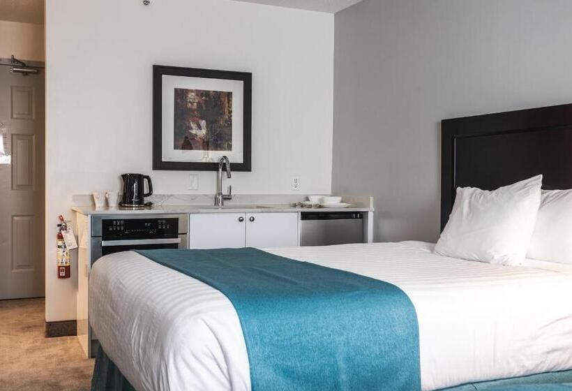 クイーンサイズベッドのスタンダードルーム, Ramada By Wyndham Surrey/langley
