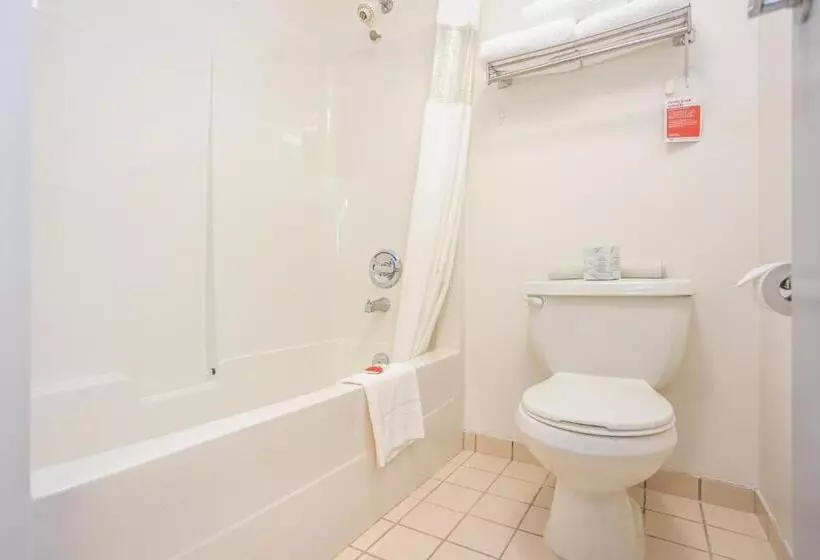 اتاق استاندارد با تخت بزرگ, Ramada By Wyndham Surrey/langley