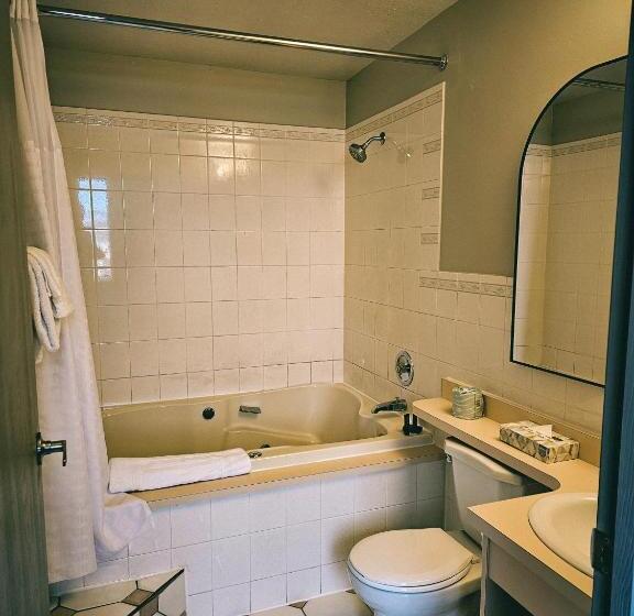 스탠다드 룸, The Baker