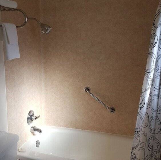 חדר סטנדרט שתי מיטות זוגיות, Safari Inn Motel