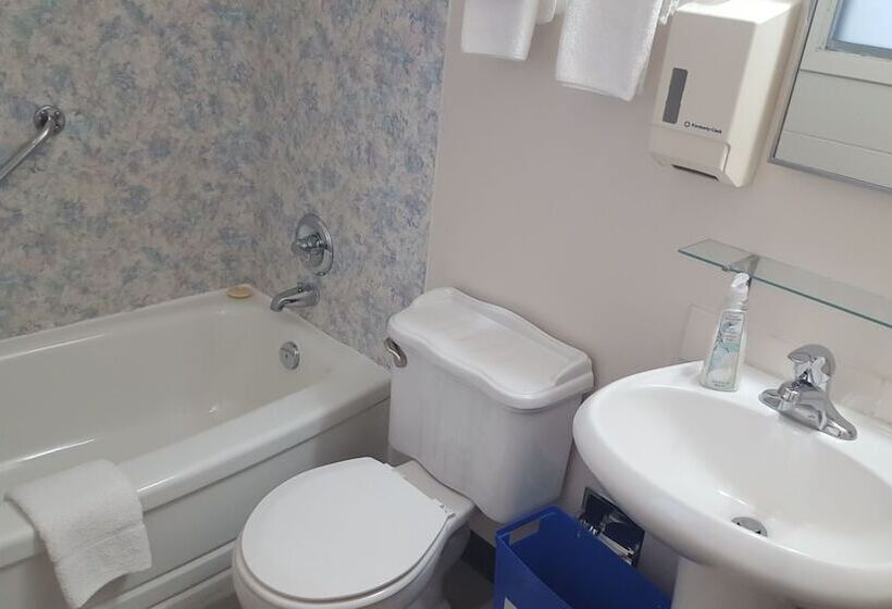 חדר סטנדרט שתי מיטות זוגיות, Safari Inn Motel