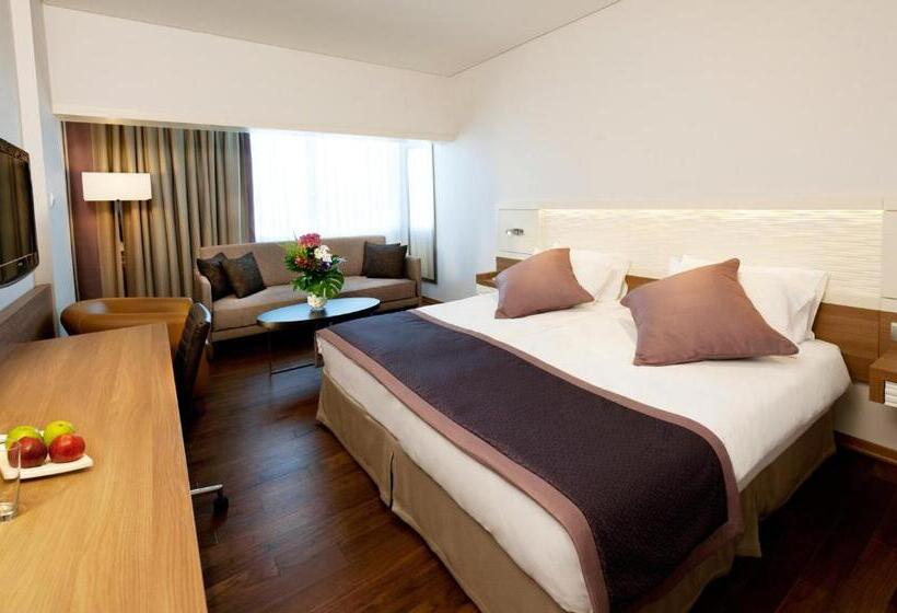스탠다드 도시전망 룸, Crowne Plaza Limassol, An Ihg
