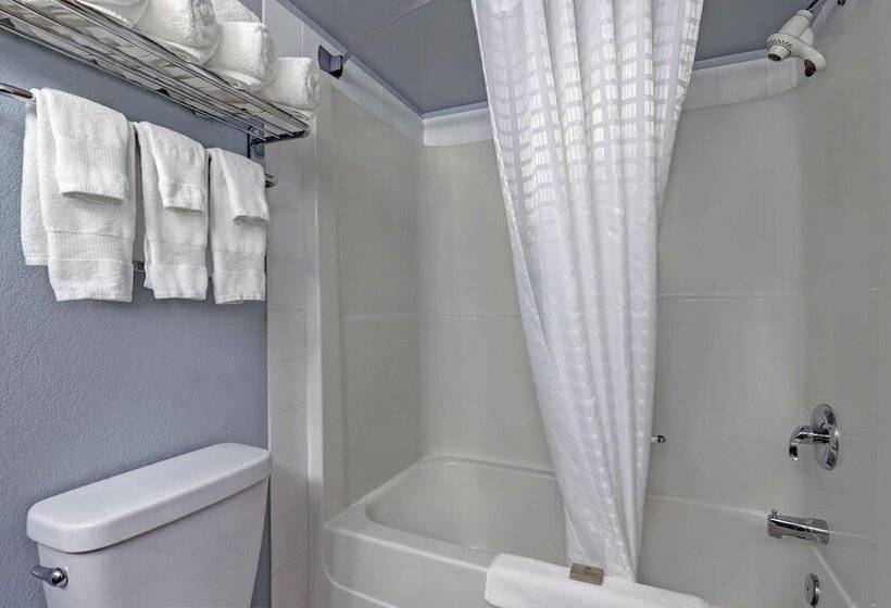 חדר סטנדרט, Surestay Plus Hotel By Best Western Drumheller