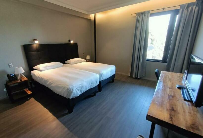 غرفة قياسية, Enjoy Pucon