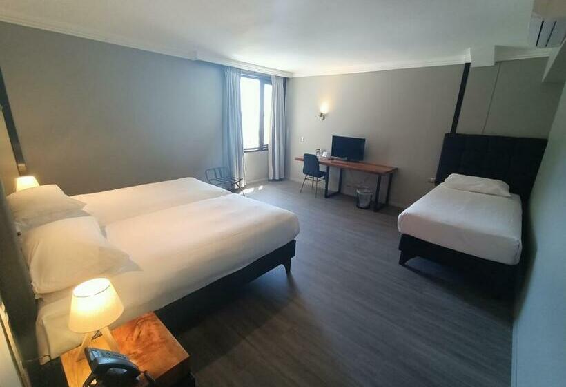 غرفة قياسية ثلاثية, Enjoy Pucon