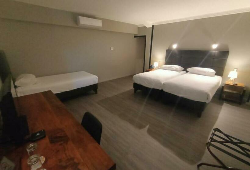 غرفة قياسية ثلاثية, Enjoy Pucon