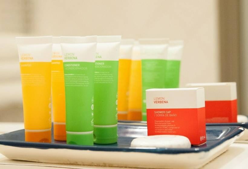 غرفة قياسية ثلاثية, Enjoy Pucon