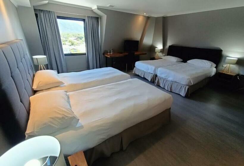 غرفة قياسية رباعية, Enjoy Pucon