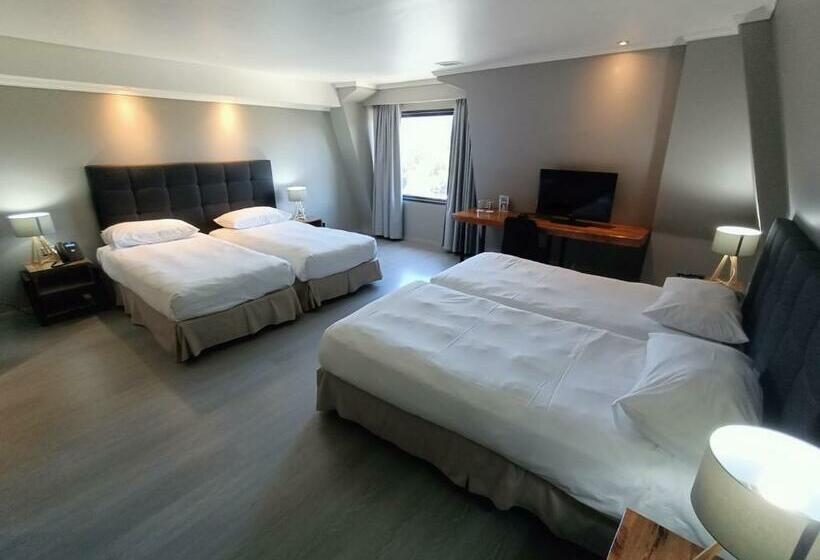 غرفة قياسية رباعية, Enjoy Pucon