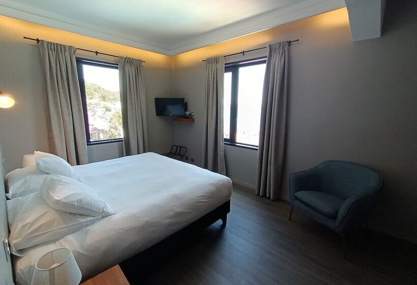 غرفة سوبيريور, Enjoy Pucon