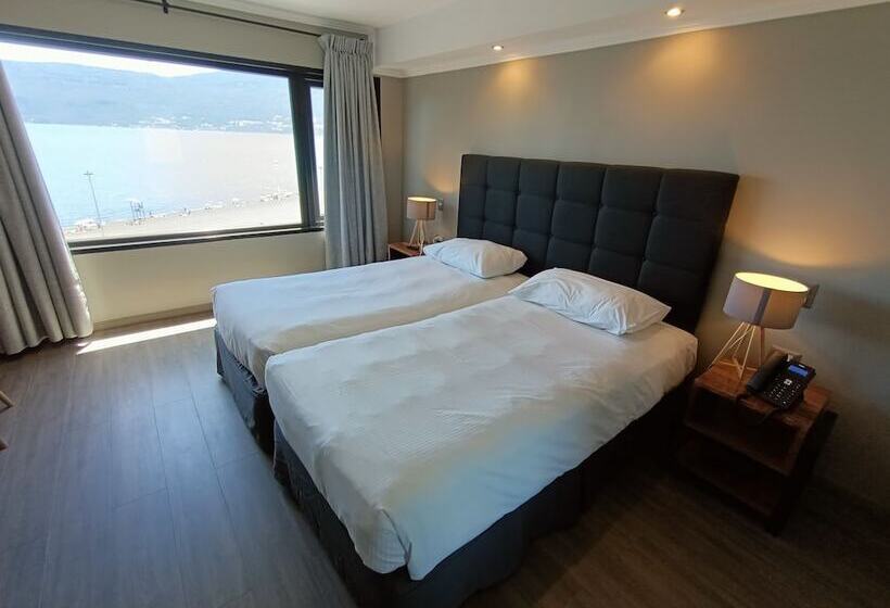 غرفة قياسية, Enjoy Pucon