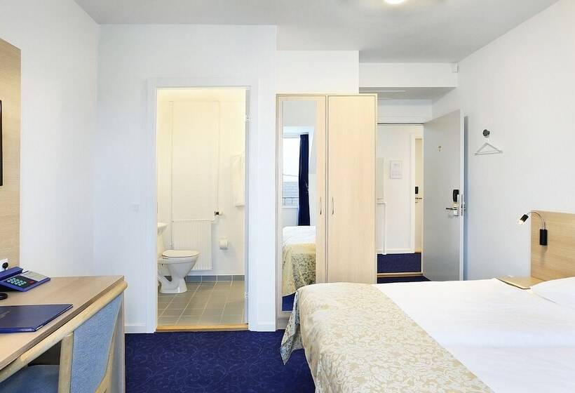 غرفة قياسية مطلة على المدينة, Herning City