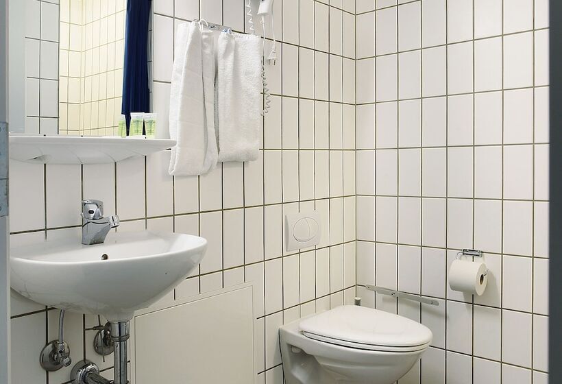 غرفة قياسية فردية مطلة على المدينة, Herning City