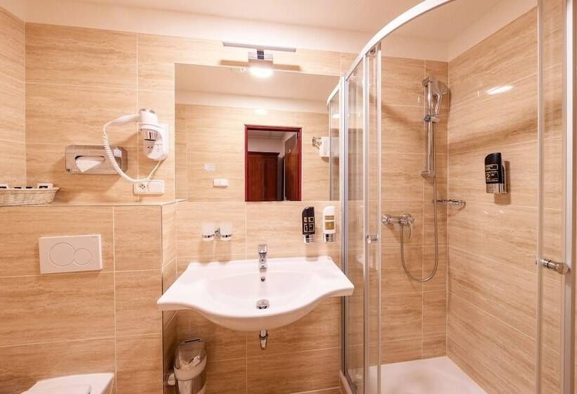 اتاق استاندارد یک نفره, Meteor Plaza Prague