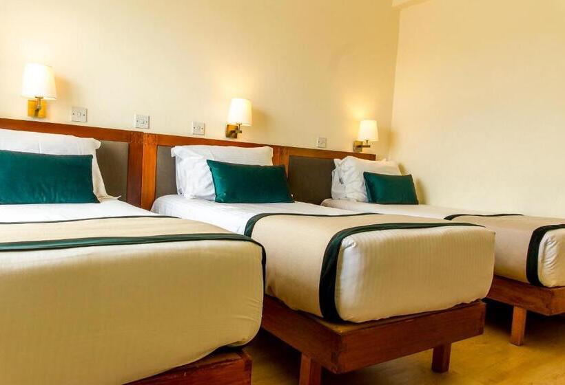 חדר סטנדרט לשלושה, Pefkos City