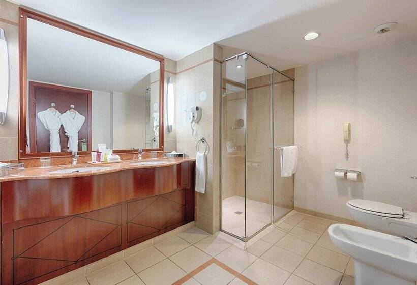 Полулюкс, Occidental Paris Levallois