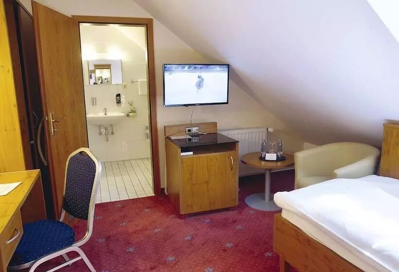 エコノミーシングルルーム, Avalon Hotelpark Königshof
