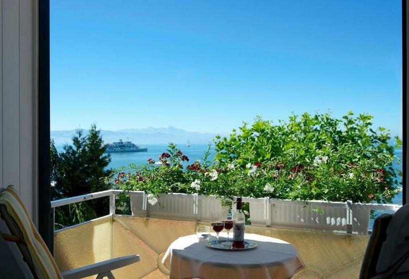 Номер Стандарт Вид на Озеро, Engel