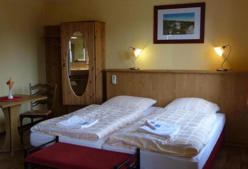 Номер Стандарт, Henriette Davidis