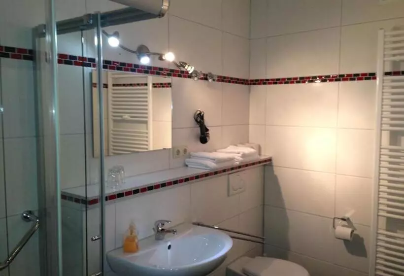 اتاق استاندارد یک نفره, Rheinhotel Lamm