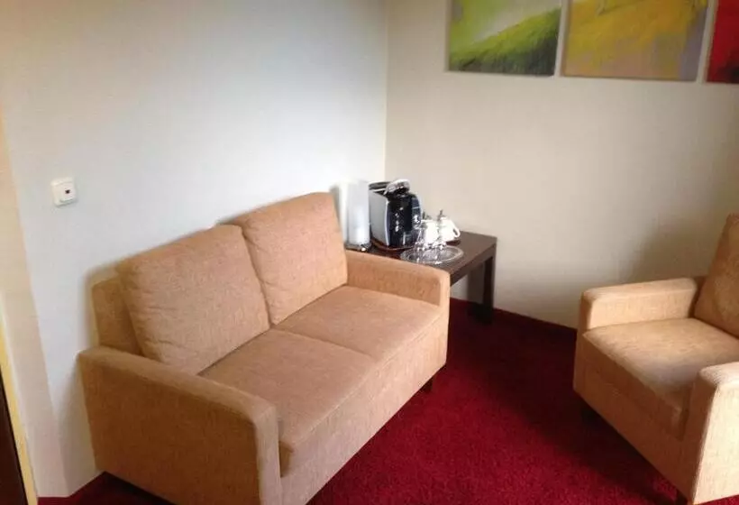اتاق استاندارد با تخت بزرگ, Rheinhotel Lamm