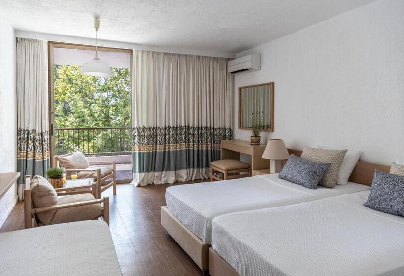 스탠다드 룸, Amalia Olympia