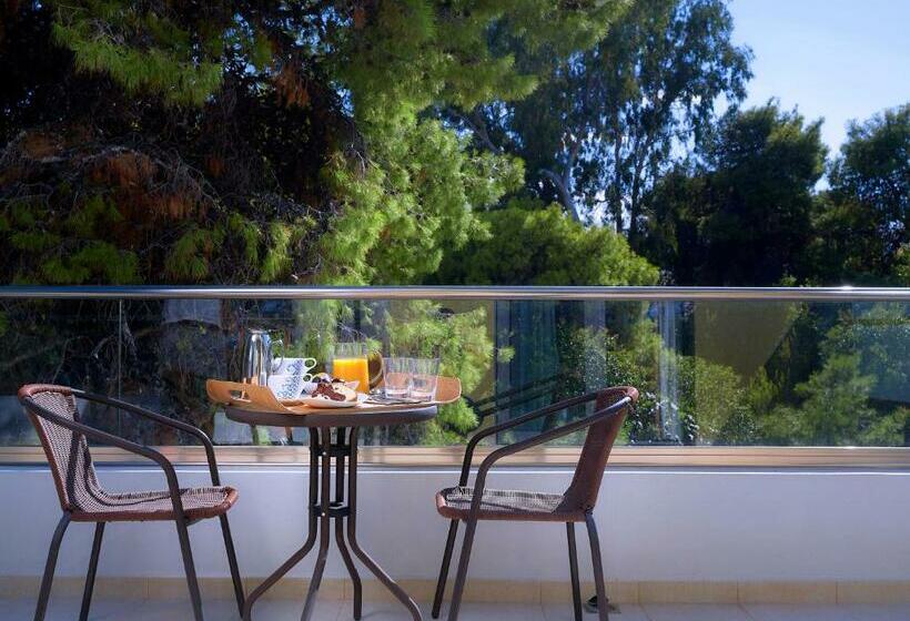 스탠다드 전망 룸, Arion